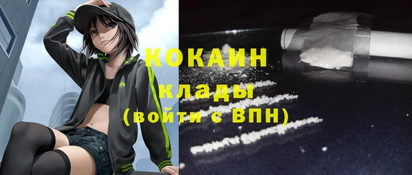 индика Иннополис