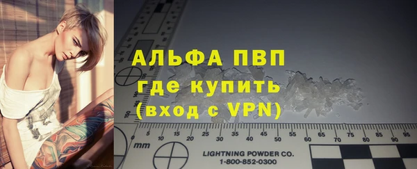 индика Иннополис