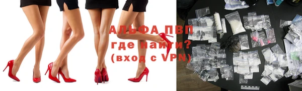 индика Иннополис