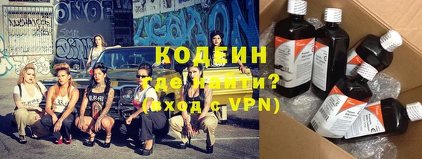 apvp Инта