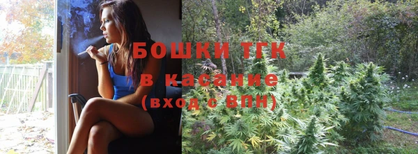 индика Иннополис