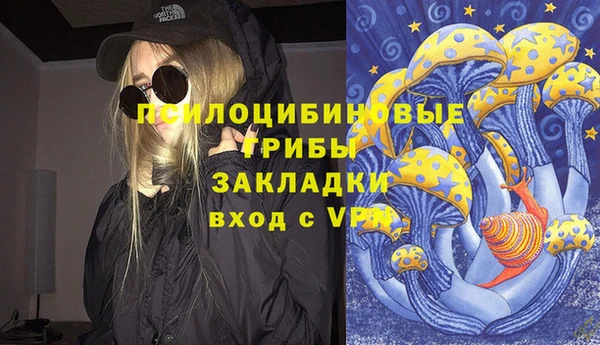 apvp Инта