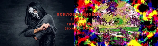 индика Иннополис